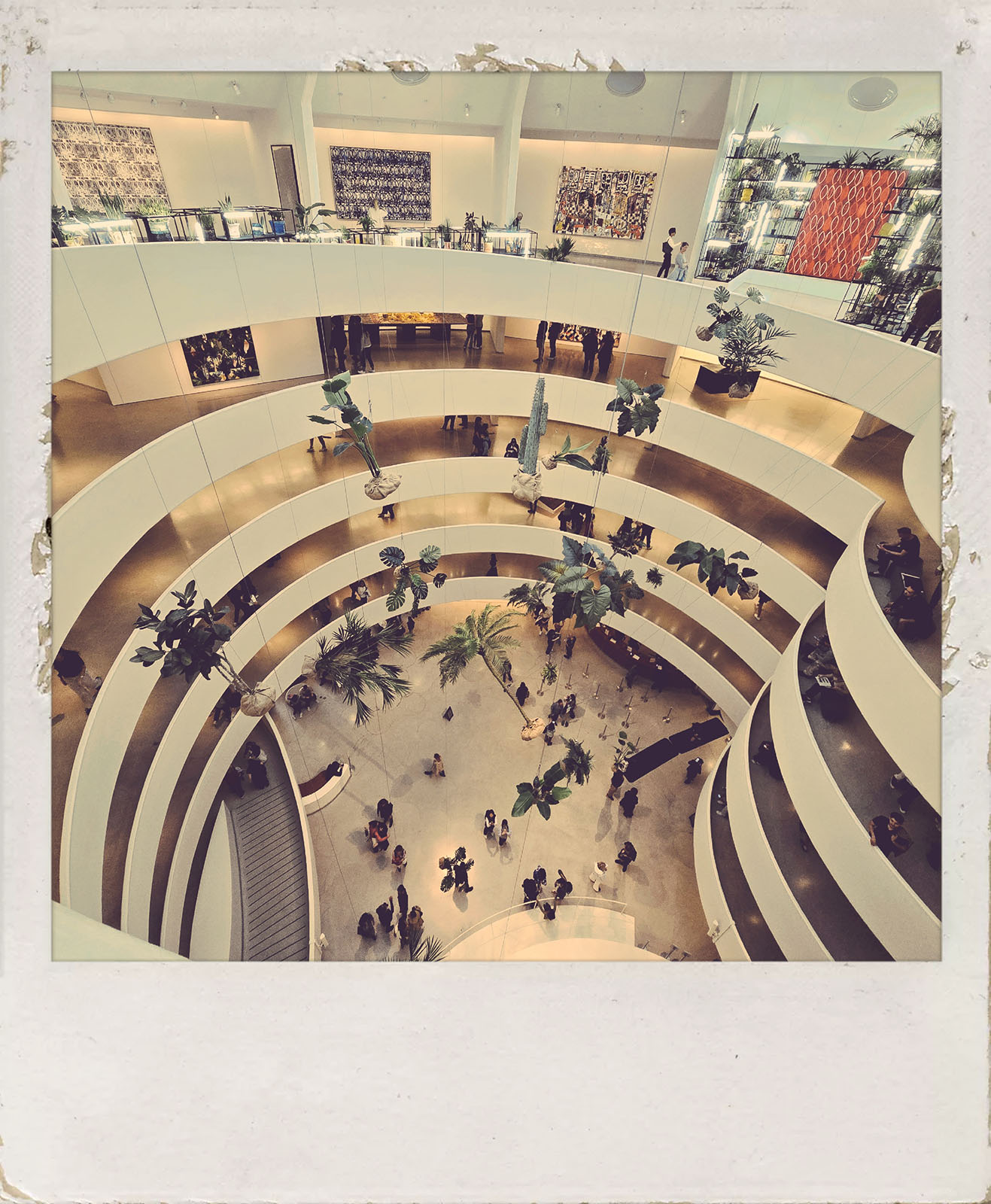 Guggenheim Museum